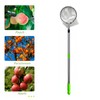 Fruit Picker Length Adjustable Stainless Steel Lemon Orange Pear Picker