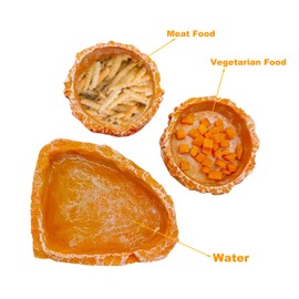 3 Pack Reptile Bearded Dragon Food Dish Water Bowls, Hermit Crab Water and Food Bowl, Reptile Feeding Dish for Lizard Gecko Frog Tortoise Snail (Orange)