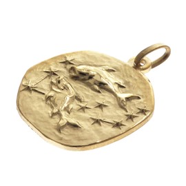 trendor Pisces zodiac sign diameter 20 mm men's necklace gold on silver zodiac sign, timeless necklace for men, great gift idea, 39070-03, Gold