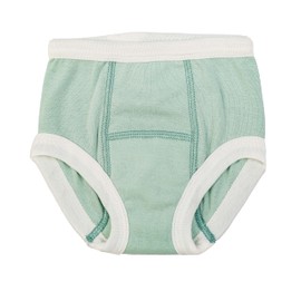 Under the Nile Organic Cotton Sea Breeze Ombre Stripe Potty Training Pants, 12-24 Months