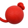 Sarini 2 Pack Elastic Dog Ball with Rope, Natural Rubber