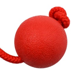 Sarini 2 Pack Elastic Dog Ball with Rope, Natural Rubber Throwing Ball, Dog Ball with Cord, Pet Ball Game with Rope for Large and Small Dogs, Wide Throws, Catch