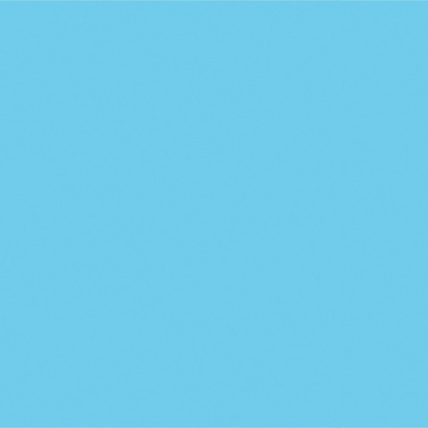 Beistle Printed Plastic Sky Backdrop Wedding Photo Background Wall Décor