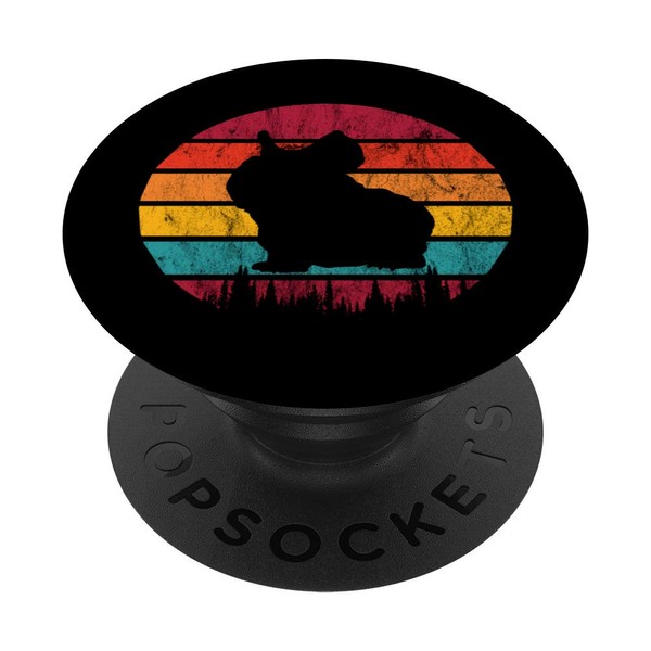 Skinny Pig Retro Vintage PopSockets mit austauschbarem PopGrip