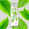 Herbal Essences Daily Detox Shine White Tea and Mint Shampoo,
