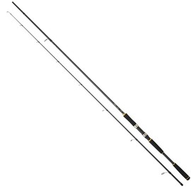 DAIWA Legalis Seabass, 2,90 m 12-42 g, 2 Parts, Spinning Fishing Rod