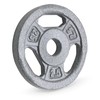 Marcy Cast Iron 2.5lb 1" Standard Grip Plate - B5G-5502