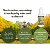 Fountain Algaecide and Clarifier - 32oz - Kills and Inhibits