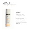 IMAGE Skincare, VITAL C Hydrating Facial Cleanser, Gentle Face Wash