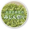 Kakusei HHC-02 Chopper, Full Water Capacity 31.3 fl oz (1,050