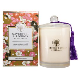 Wavertree & London Organic Japanese Plum Scent Soy Wax Candle | Non Toxic 100% Cotton Wick Triple Scented Pure Natural Soy Wax Candles, Hand Poured in Australia | 60 Hours Burning Time, 11.66 Oz