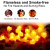 Toolzia LED Heart Tealight Candles with Artificial Rose Petals, 24-Piece
