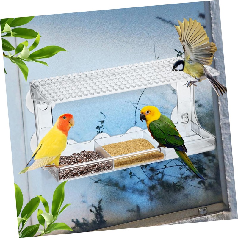 CORHAD Clear Window Bird Feeder with Suction Grip Outdoor Feeding