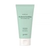 goodall Goodal Skin Improvement Houttuynia Cordata Hyaluronic Soothing Pore Cleansing Foam / 구달 피부개선 어성초 히알루론 수딩 모공 클렌징폼