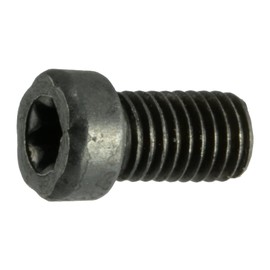 Black Oxide Star Drive Fillister Head Gun Screws - 10 pcs. (6-48 x 1/4" T-10 Torx)