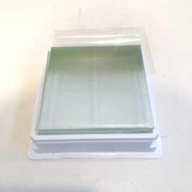 Fisherbrand Colorfrost Plus Green Microscope Slides 25 x 75 x 1.0mm 1/2 Gross