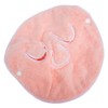 Vaguelly Womens Facial Steamer Towel Soft Coral Fleece Mask Towel