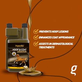 Organnact Hoof & Coat Armour - Equine Hoof and Coat Health Supplement - Supports Keratin Synthesis with Amino Acids, Zinc, B Vitamins - Non-Doping, Green Apple Flavor - 33.8 Fl Oz