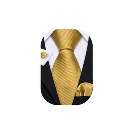 Barry.Wang Solid Gold Ties for Wedding Business Necktie and Pocket Square