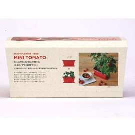 Seishin Pottery GD-93102 Household Garden, Easy Cultivation Kit, Mini Tomatoes, Indoors, Herbs, Vegetables, Cultivation Set, Approx. 9.4 x 5.9 inches (24 x 15 cm), Mother's Day Gift, Birthday