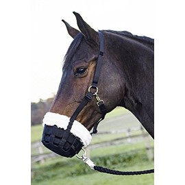 BUSSE Comfort feeding brake