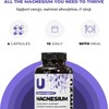 UMZU Daily Magnesium | Potent Bioavailable Magnesium Complex for Healthy