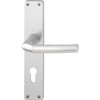 Hoppe Birmingham Door Handle on Long Plate Cylinder Lock Removal 88 mm/Door Thickness 30 – 49 mm Anodised Silver Price for 1 Each 2640124