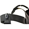 Dean & Tyler DT Universal No Pull Dog Harness -