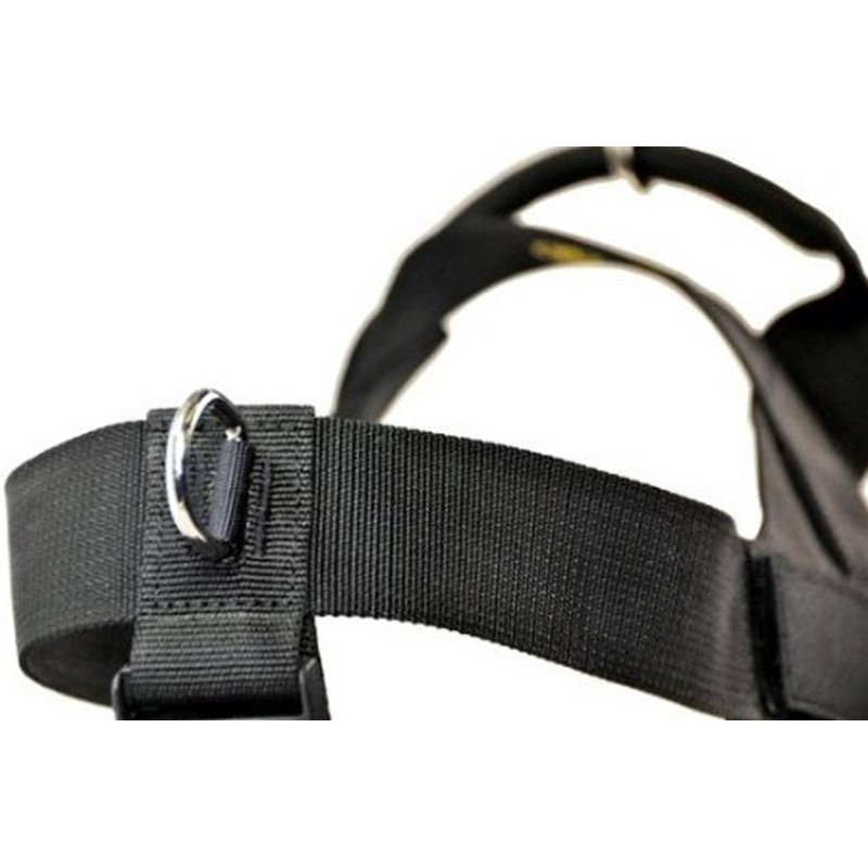 Dean & Tyler DT Universal No Pull Dog Harness -