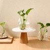 Tofficu Glass Plant Containers 3 Small Vases for Succulents Air