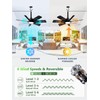LANMEL 28 Inch Plug-In Outdoor Ceiling Fan with Light and