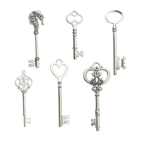 FAIRYGATE Charms for Crafting Mixed Set of 6 Large Silver