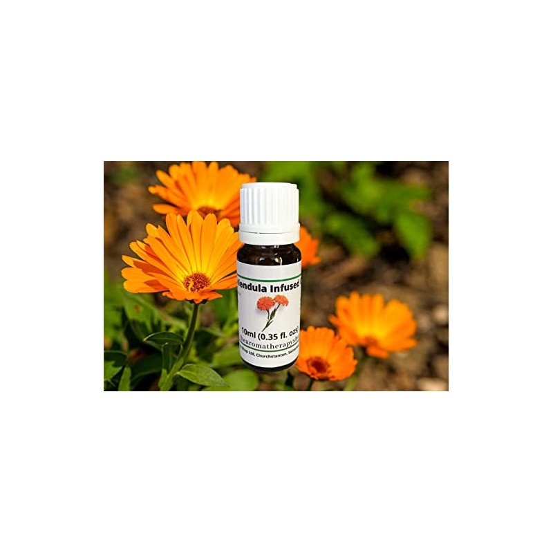 Calendula Oil Infusion 10ml