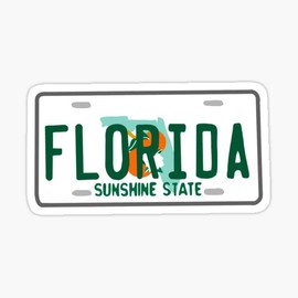USA All State License Plate Sticker |Vinyl| Decal Wall Laptop Waterbottle Sticker 5"x3" (Florida)