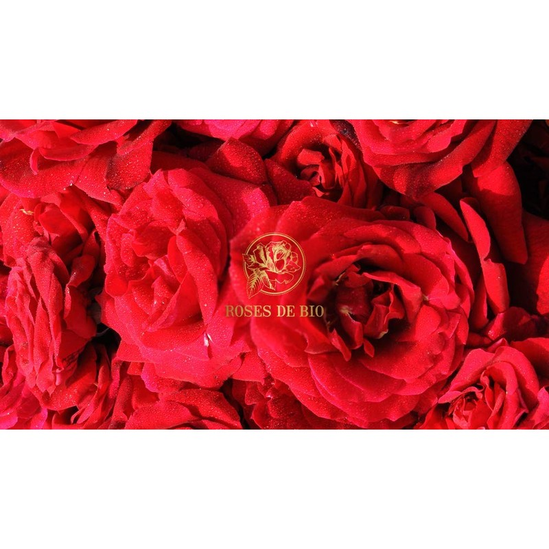 Roses De Bio ro-zudobio buraxtudyiro-zu Jerry (Serum & Cream) 40ml