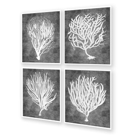 Beach Decor Wall Art Sea Fan Sea Coral Set of 4 Unframed Art Prints