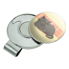 GRAPHICS & MORE Chubby British Short Hair Grey Cat Golf Hat Clip with Magnetic Ball Marker