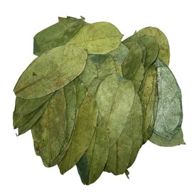 Lakpura® Wildcrafted Soursop (Guanabana, Graviola, Guyabano) Dehydrated 1000 Leaves (±250g, ±8.8oz)