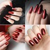 2 Boxes Red Chrome Nail Powder Metallic Mirror Effect Holographic