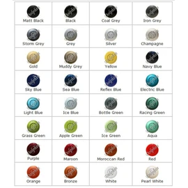 Dolphin Automotive Car Van Front Parking Sensors With Longer 6m Leads and Parking Switch in 32 Coloured Options UK (Silver)