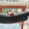 bangminda Small Animal Hammock Hamster Hammock Tunnel Ferret Hammock Warm