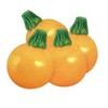 Zucchini Yellow Round Summer Squash 10 Seeds Non-GMO Vegetable