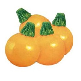 Zucchini Yellow Round Summer Squash 10 Seeds Non-GMO Vegetable