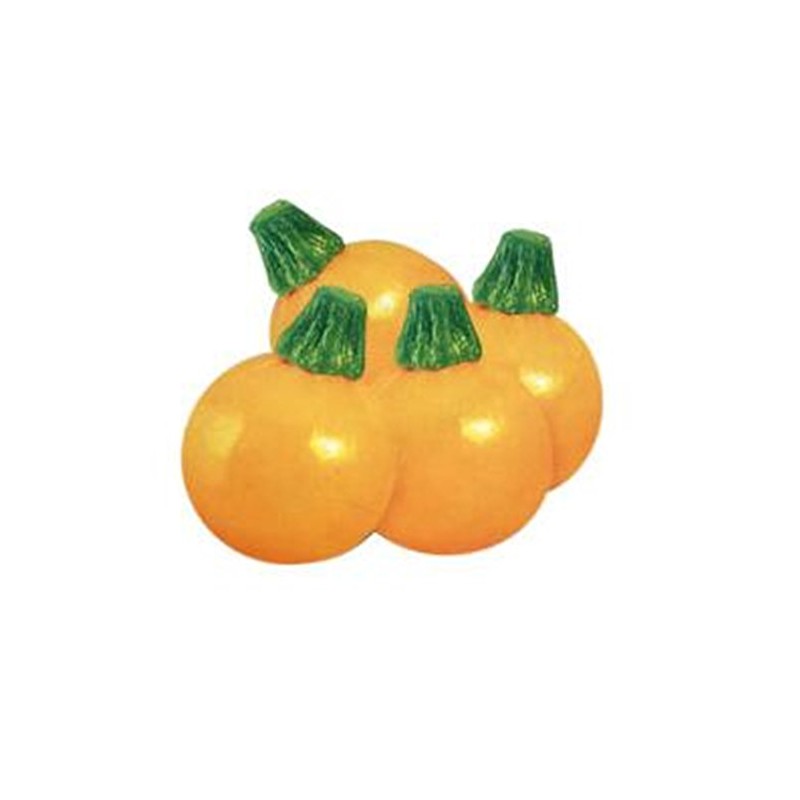 Zucchini Yellow Round Summer Squash 10 Seeds Non-GMO Vegetable