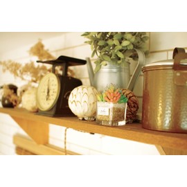 Kishima Eklia Deodorizing Artificial Green 3 S Size KH-61182 Size: Approx. W 3.3 x D 3.3 x H 4.3 inches (85 x 85 x 110 mm)