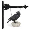 K&K Interiors 41268A-AR 9.75 Inch Resin Crows on White Pumpkin