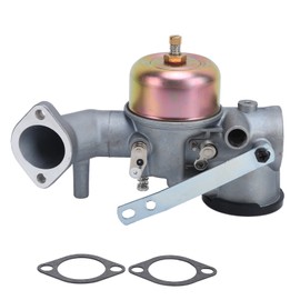 Carburetor Carb 491031 Accessory Replacement for Electrolux RL1138AR TF1238AR YPLT120DR
