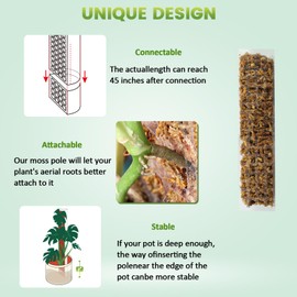 Bluepro 4 Pcs 15 Inch Plastic Moss Pole for Plants Monstera Set with 5.3oz/150g Sphagnum Moss, Plant Poles for Climbing Plants, Plant Support for Indoor Plants, Garden Ties