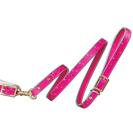 Dog Leash Kit Tandy Leather 44708-02