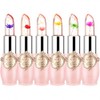 FirstFly - Juego de 6 lápices labiales nutritivos de larga